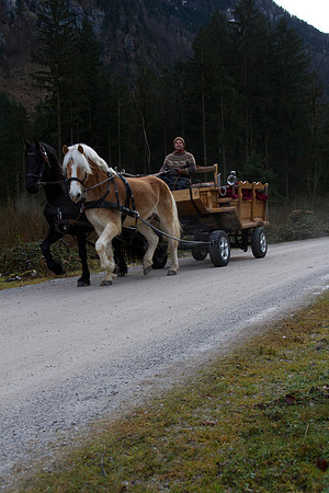 Adventspaziergang 2014
