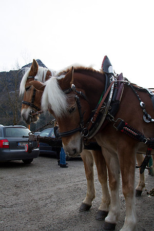 Adventspaziergang 2014