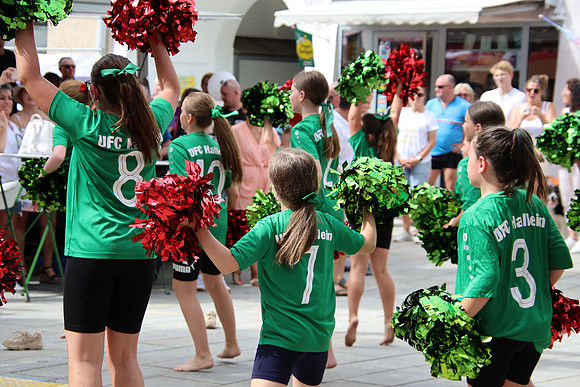 Stadtfest Hallein