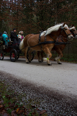 Adventspaziergang 2014
