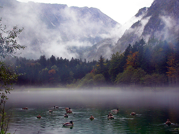 Bluntautal
