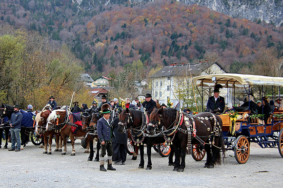 Leonhardiritt und Kutschenfahrt