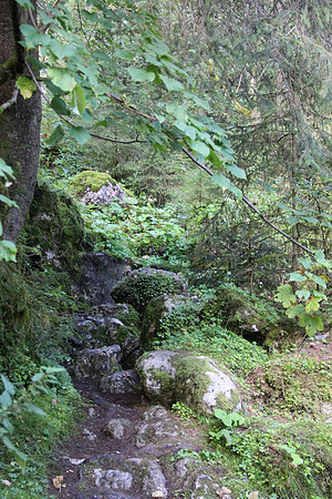 Natur in Torren