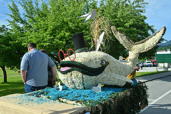 Bootskorso in Altaussee