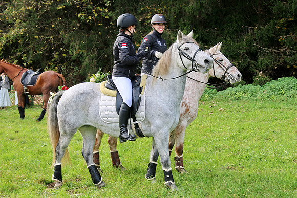 Leonhardiritt und Kutschenfahrt