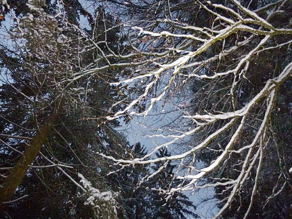 Adventspaziergang Golling 2012