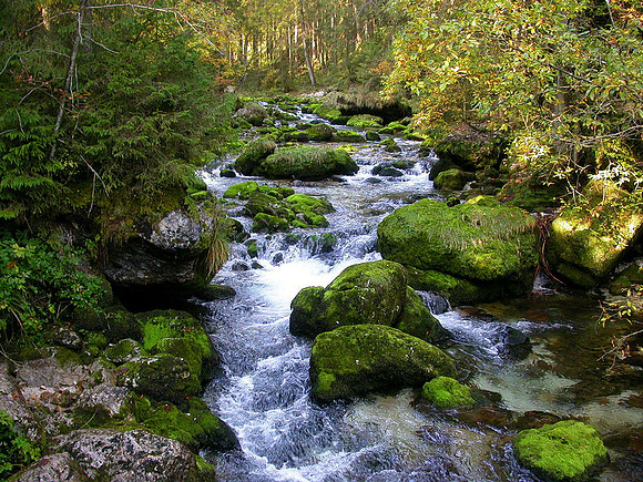 Gollinger Wasserfall