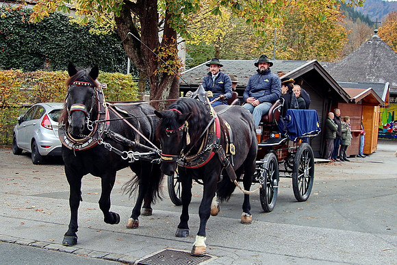 Leonhardiritt und Kutschenfahrt