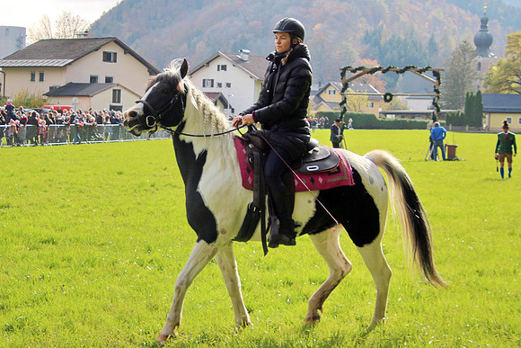 Leonhardiritt und Kutschenfahrt