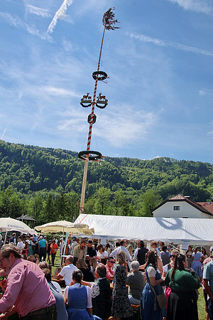 Maibaumfest Rehhhof