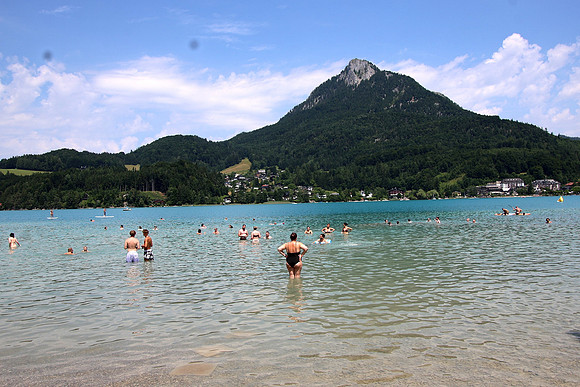 The ORGANICS Beach