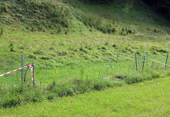 Letzter Schliff bei Wildsau-Dirt-Run 2016