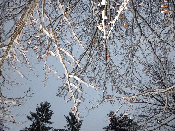 Adventspaziergang Golling 2012