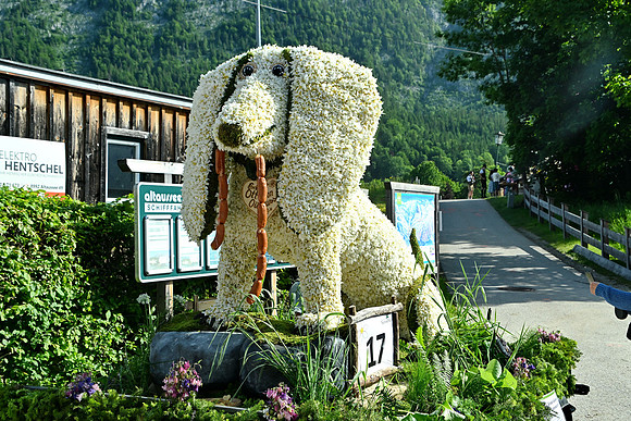 Bootskorso in Altaussee