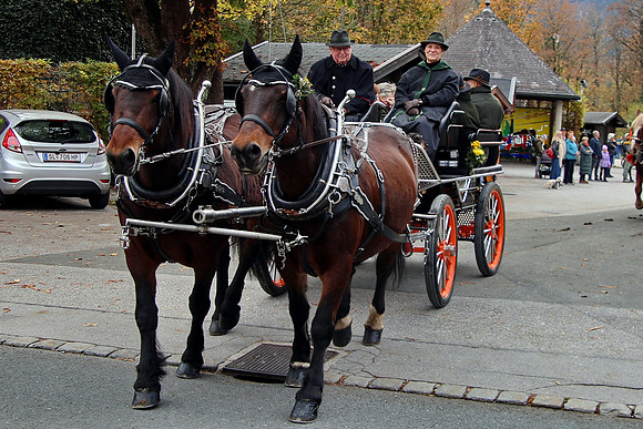 Leonhardiritt und Kutschenfahrt