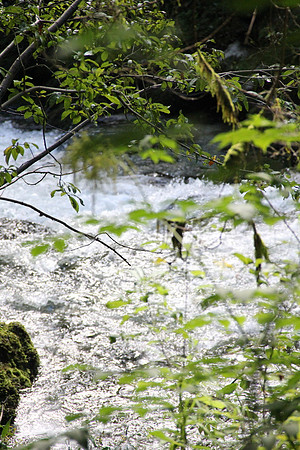 Natur in Torren