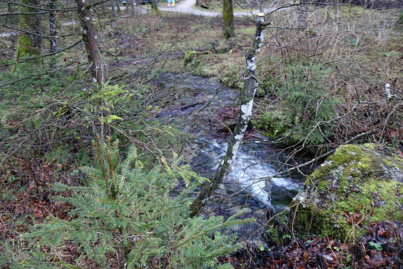 Letzter Adventspaziergang 2016