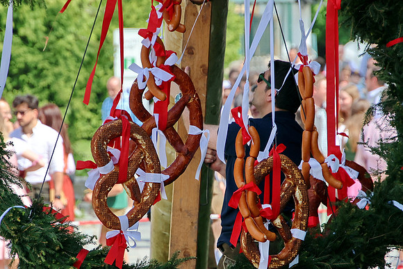 Maibaumaufstellen Anif