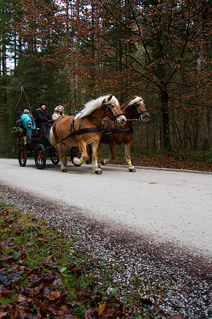 Adventspaziergang