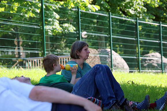 4. DSÖ Sport & Spielfest