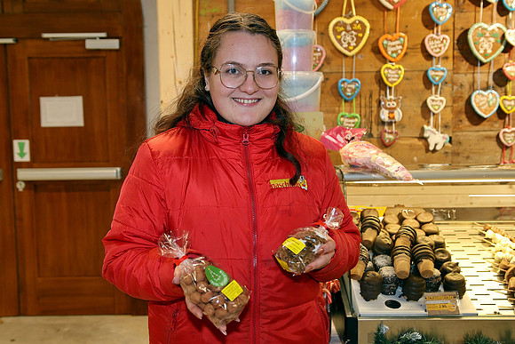 Halleiner Weihnachtsmarkt