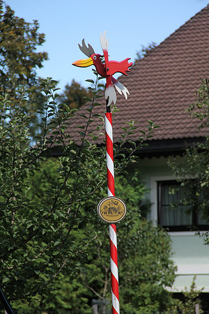 Natur in Torren