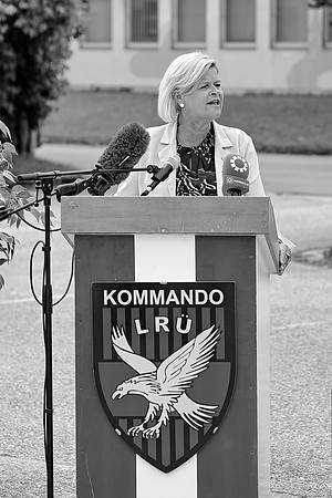 Kommandoübernahme Luftraumüberwachung