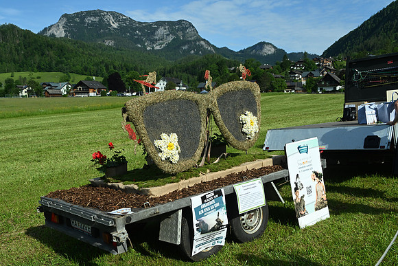 Bootskorso in Altaussee