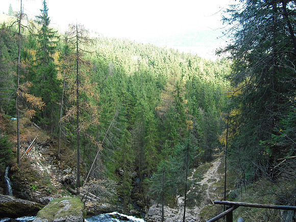 Gollinger Wasserfall