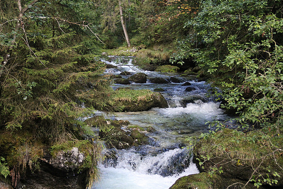 Natur in Torren