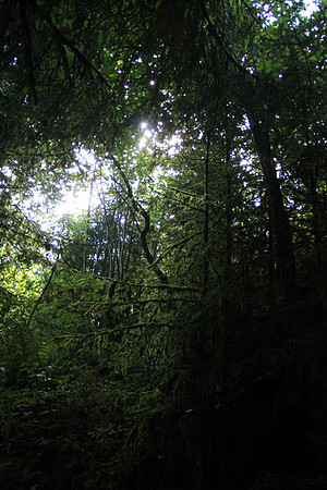 Natur in Torren
