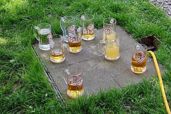 Maibaumaufstellen Anif