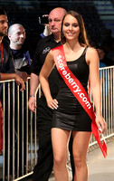 PDC Austrian Dart Open 2014
