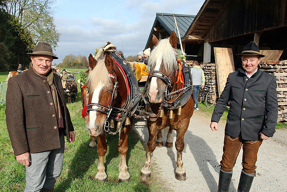 Leonhardiritt und Kutschenfahrt