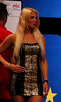 PDC Austrian Dart Open 2014