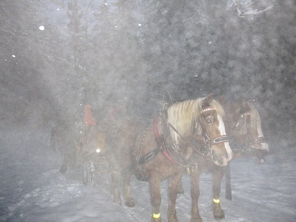 Adventspaziergang Golling 2012