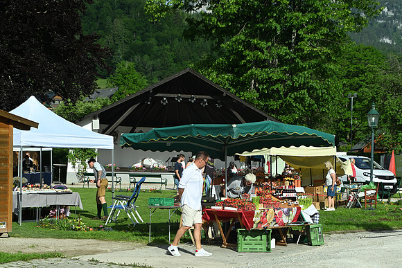 Bootskorso in Altaussee