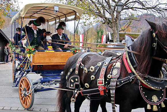 Leonhardiritt und Kutschenfahrt