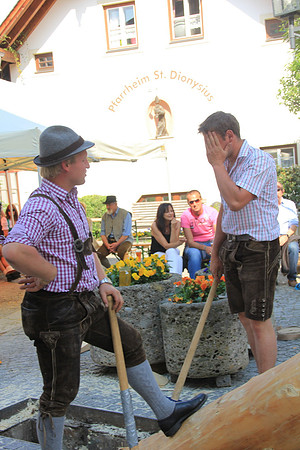 01.05.2014 Maibaumaufstellen Bad Vigaun