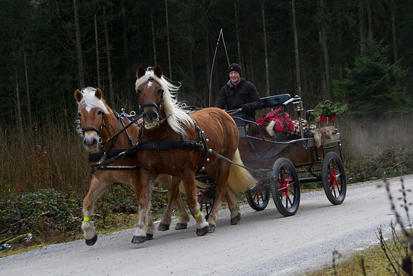 Adventspaziergang 2014