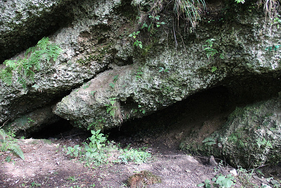 Natur in Torren
