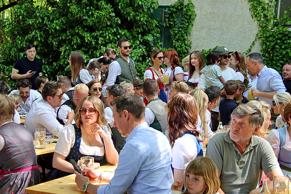 Maibaumaufstellen Anif