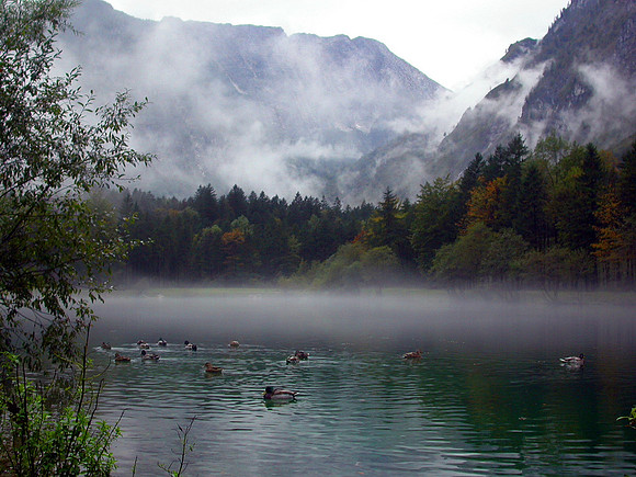 Bluntautal