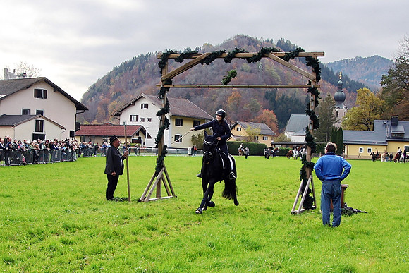 Leonhardiritt und Kutschenfahrt