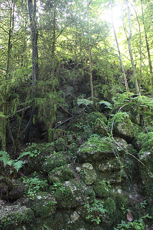 Natur in Torren