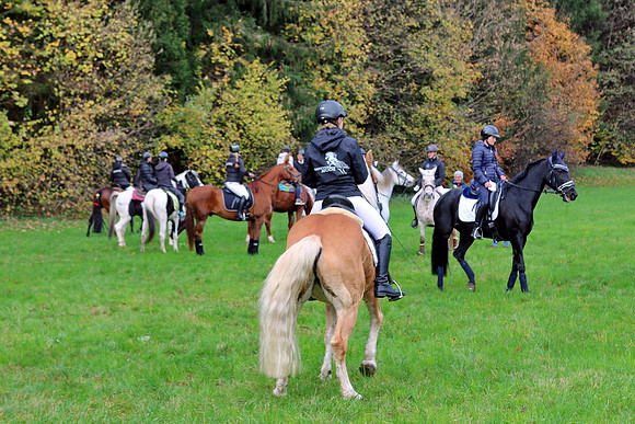 Leonhardiritt und Kutschenfahrt