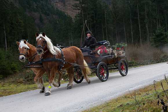Adventspaziergang 2014