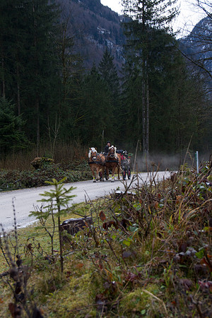 Adventspaziergang 2014