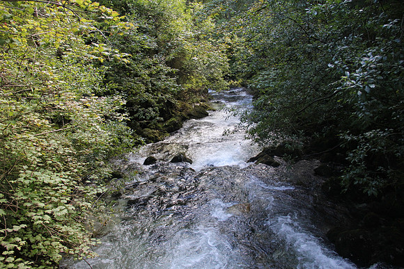 Natur in Torren