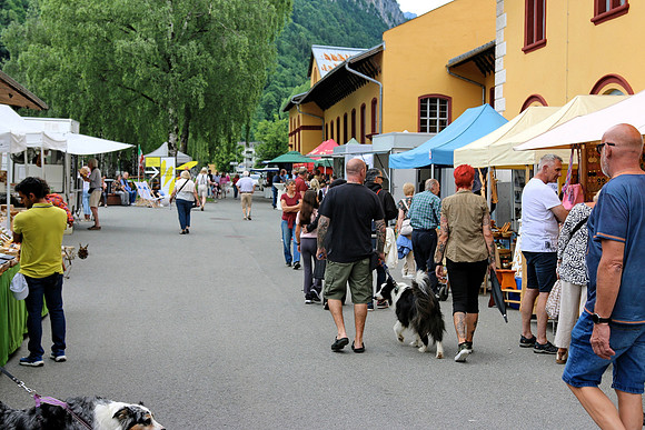 Halleiner Kunsthandwerkmarkt 2025